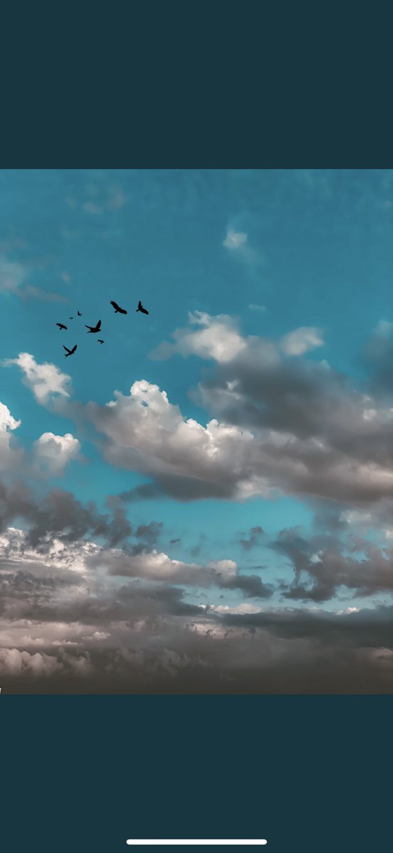 يـارب واللي طموحاته كبار 
سخّر له الدنيا وحقق طموحه 🕊🤍..