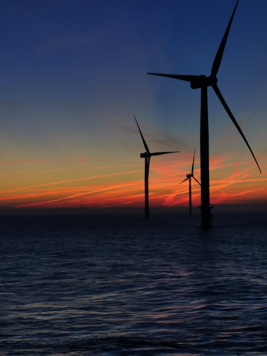 Adam ⚓ tweet media