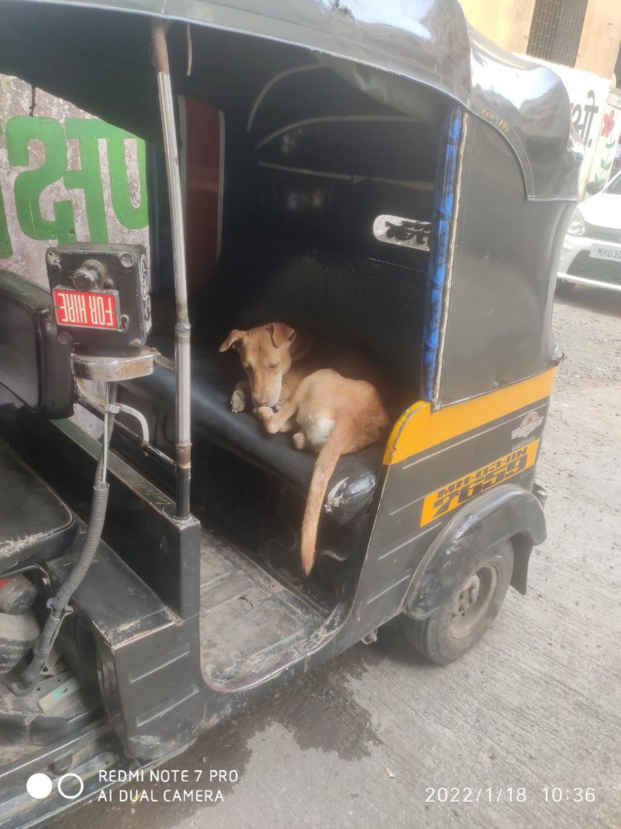 10mae_greenkid's tweet photo. Do not disturb!
Reserved space 😆..
Happy hours doggo exclusive. https://t.co/hzvkmHgCz1