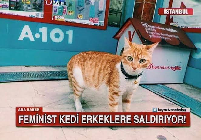 Birodarlar dan Julia Enn porno