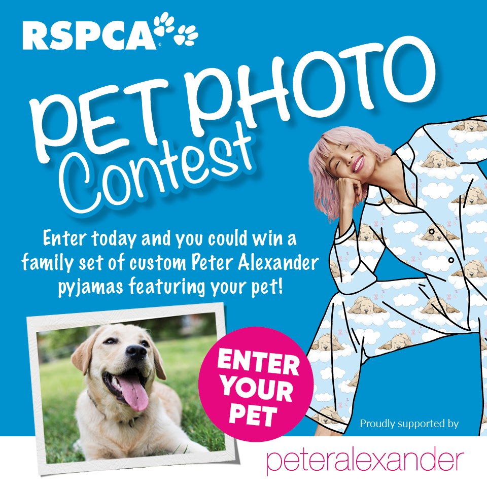 RSPCA QLD tweet media