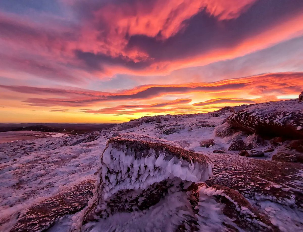 Anna Wells // Rocks and Trails tweet media