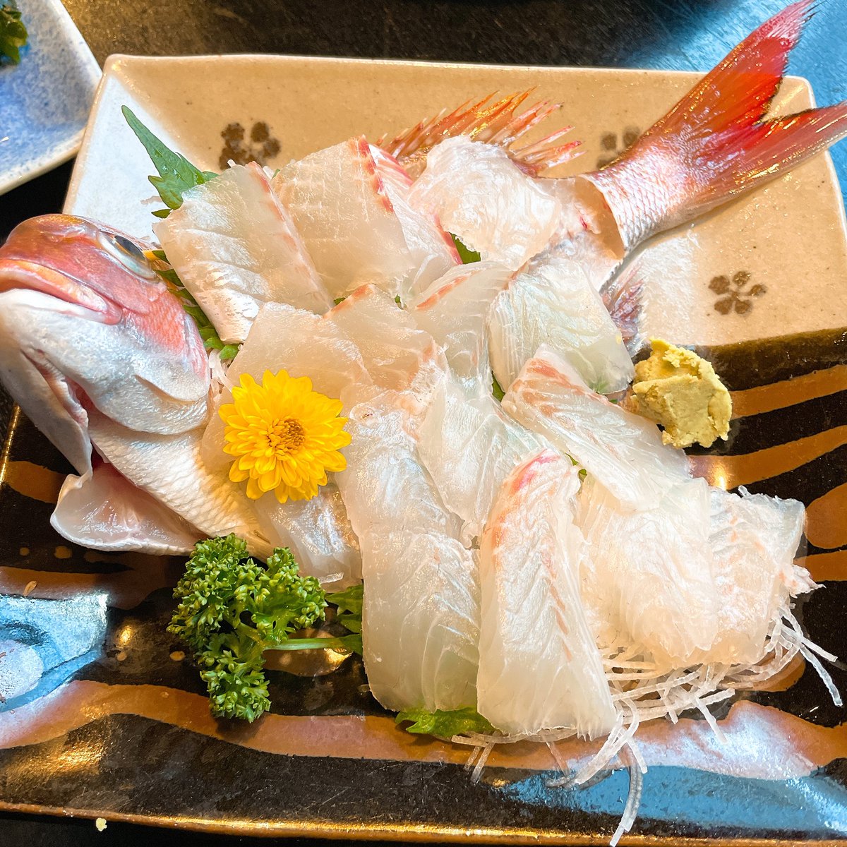 今年初釣りに行きました。なかなかの釣果でした。個人ではイナダ×5、サバ×1、アジ×10でした。全体では100近く釣りました。その後は鯵フライや鯛の刺身や鯵のなめろうや塩焼きや鍋で美味しく頂きました。個人的には鯵フライが優勝でした。今年も沢山釣りに行きたいです。