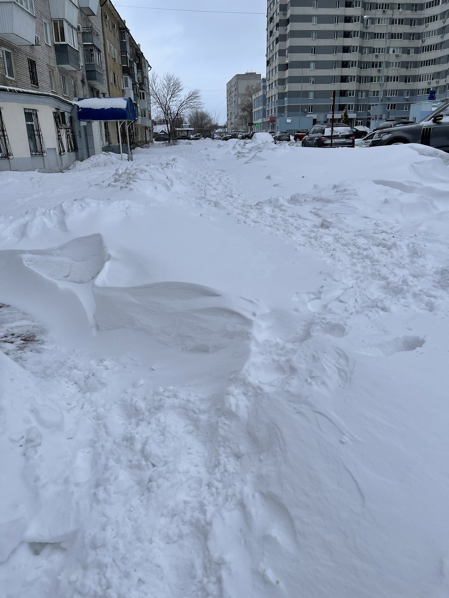 Улица Гастелло от Московского шоссе до ул. Ново-Садовой не знает ни тротуара, ни дороги…когда дорога будет очищена от снега? <a href="/SamMobilePriem/">Мобильная приемная Губернатора Самарской области</a> <a href="/DepGorHozSamara/">Департамент ГХиЭ</a>