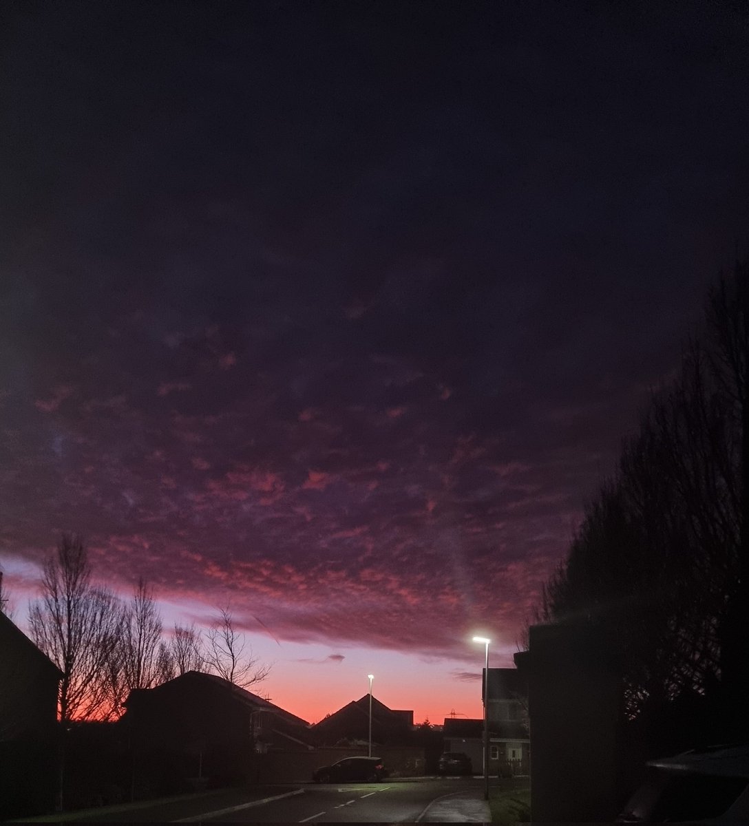 DelishBooks's tweet image. Good morning! 📚

What is the first complete sentence on page 100 of your current read?

#BookQOTD

P.S. For all its faults, January has some beautiful sunrises