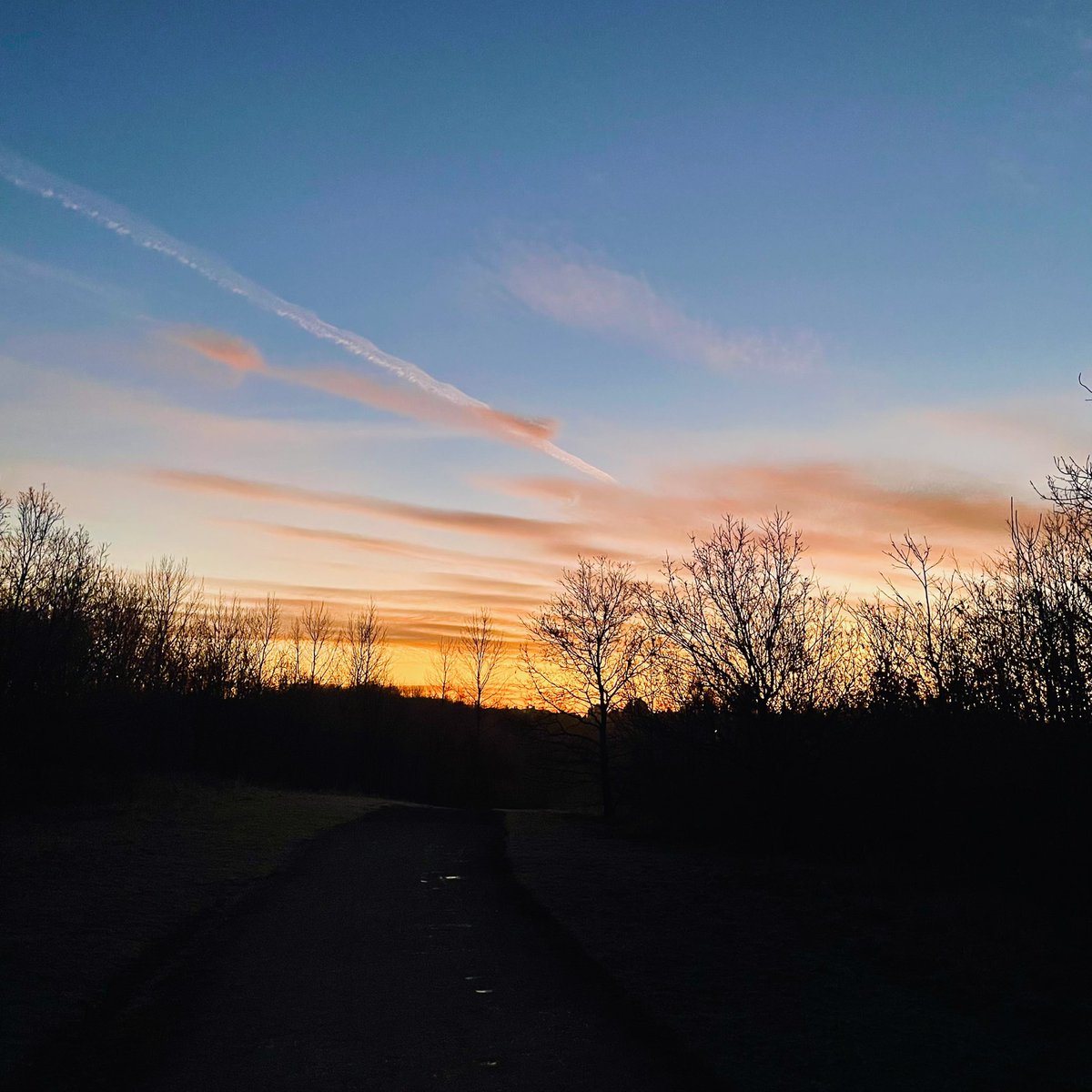 Pre sunrise walk was pretty, if not a bit chilly!