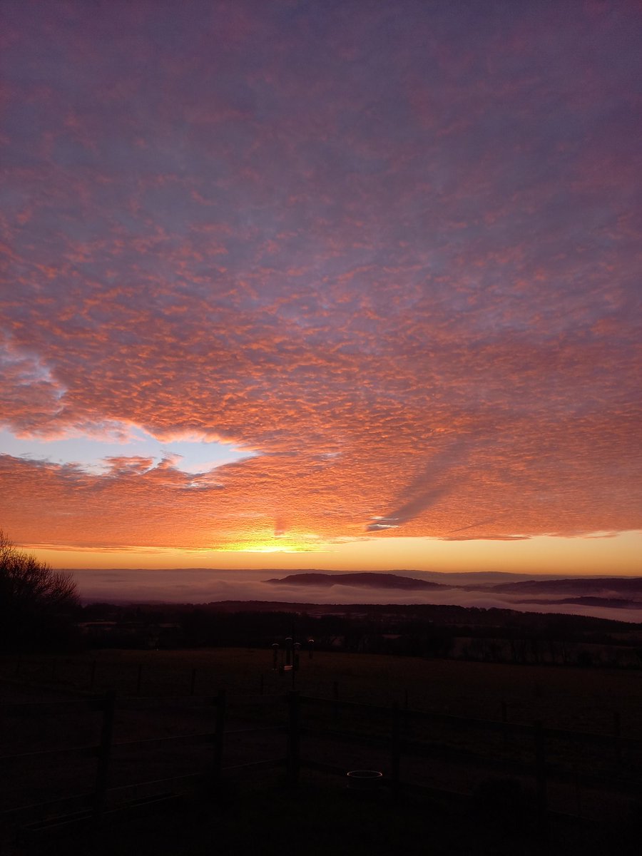 Martin Whitehead (@martthefarm) on Twitter photo 