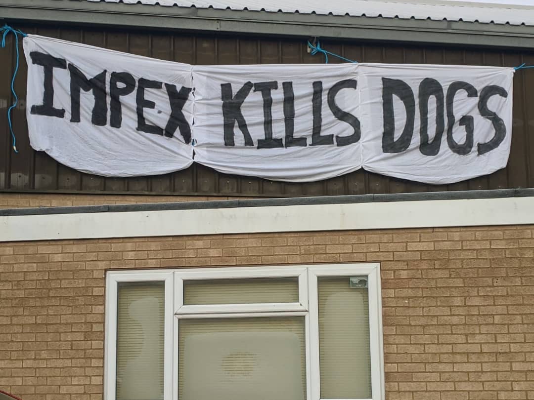 HAPPENING NOW ‼️

Activists are locked on at Impex in Northamptonshire, a company that transports animals to their deaths inside laboratories!

#FreeTheMBRBeagles #EndVivisection #BanAnimalExperiments