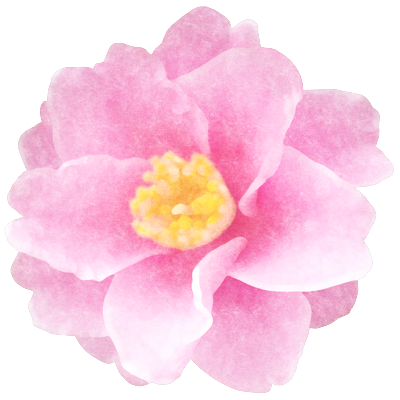 ヨシュケイ 椿と山茶花のフリーアイコンをつくりました 400 400pixel 8種 タイムライン上は花の形に切り抜かれた状態で表示されます フリー素材 フリーアイコン 透過png 背景透過 椿 山茶花 Camellia T Co Fteua7y4dz Twitter