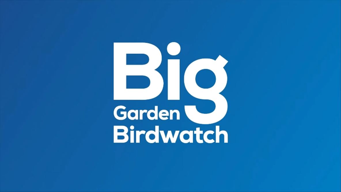 EllisonPrimary's tweet image. It is time. Time to start getting ready for our &apos;Big Garden Bird watch&apos; by signing up below with the RSPB. &apos; Time to get your treats and water ready and out for the birds, so that when the weekend of the 28th-30th January comes you will be ready! #ellisonscience #ellisoncommunity