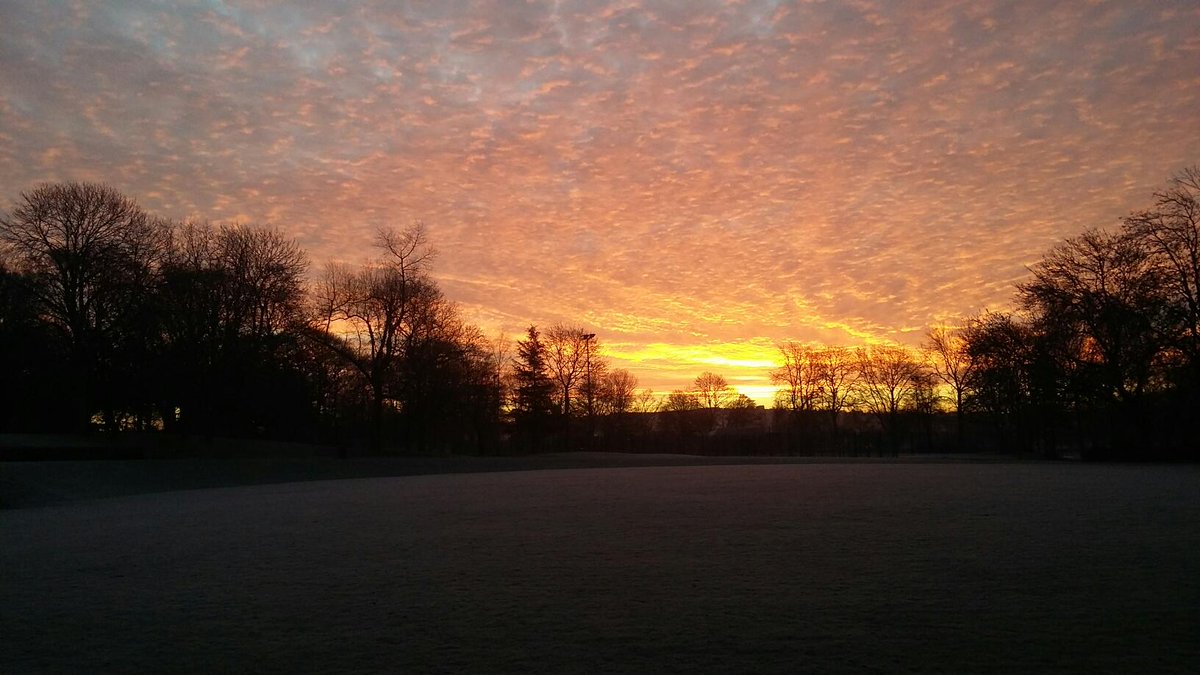 Lovely dawn in frosty park today.