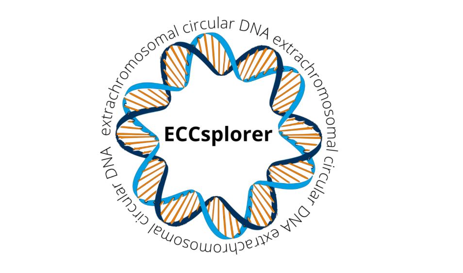 ⭕️🧬🔍Excited to announce that our ECCsplorer software to analyze #eccdna has now found a home at @BMCBioinfo.

💾check out the tool: github.com/crimBubble/ECC…

📚check out the paper: doi.org/10.1186/s12859…

...and follow @crim_bubble who has spearheaded this project!