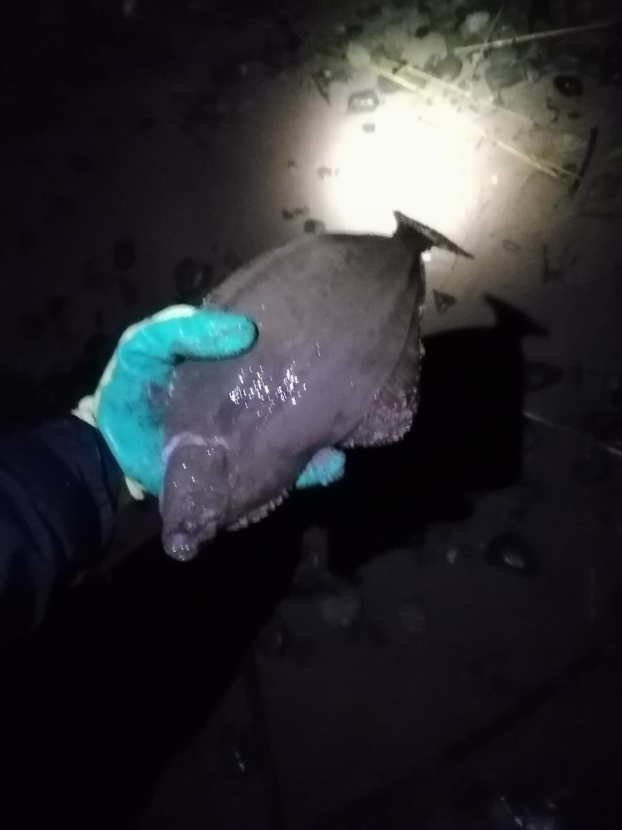 wooltondetect's tweet photo. 3 flatties last night from the banks of the mersey https://t.co/4tOEgEjhWz