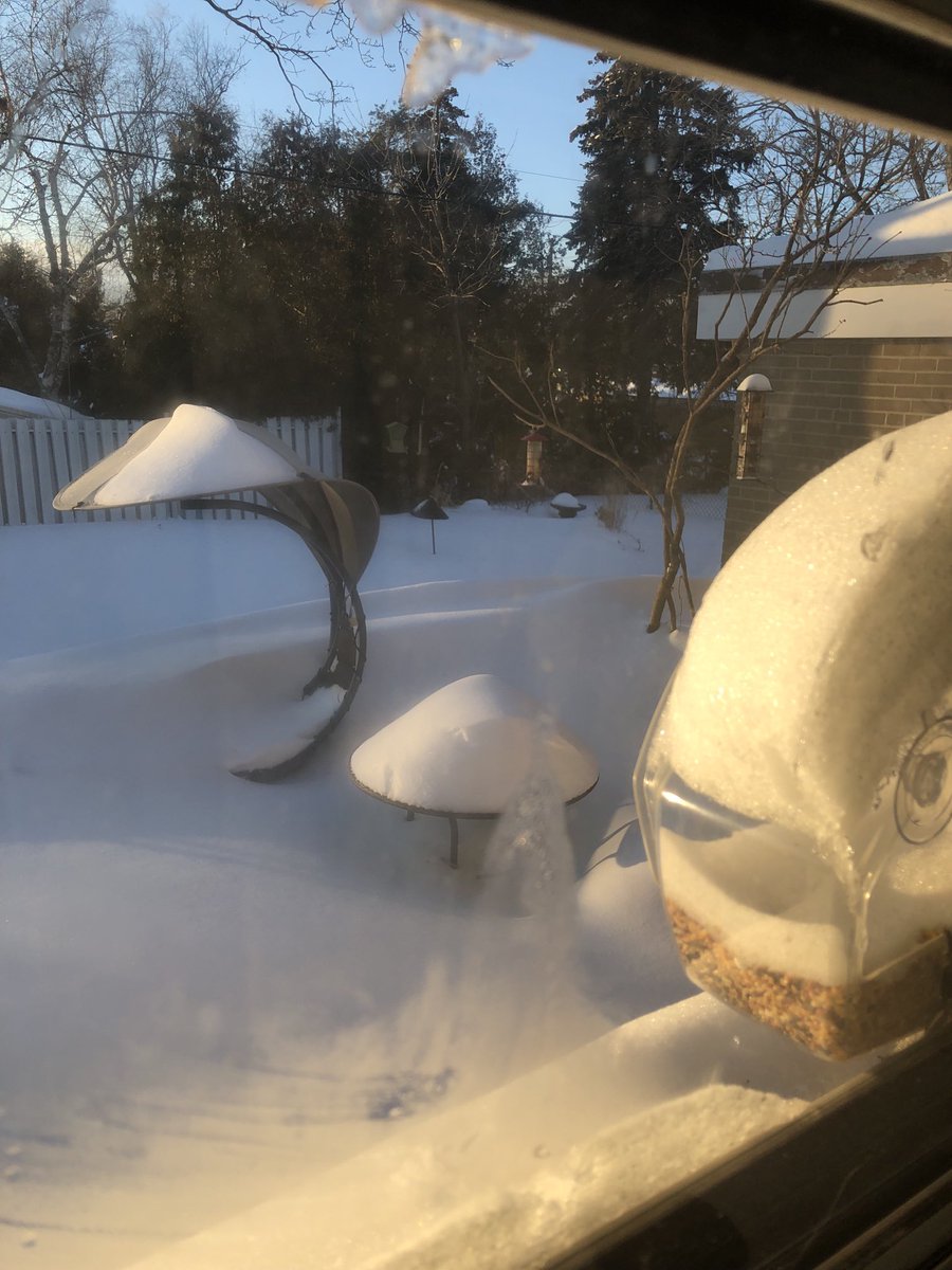 1in5kidz's tweet photo. #snowtopia https://t.co/K3KFs75GRv