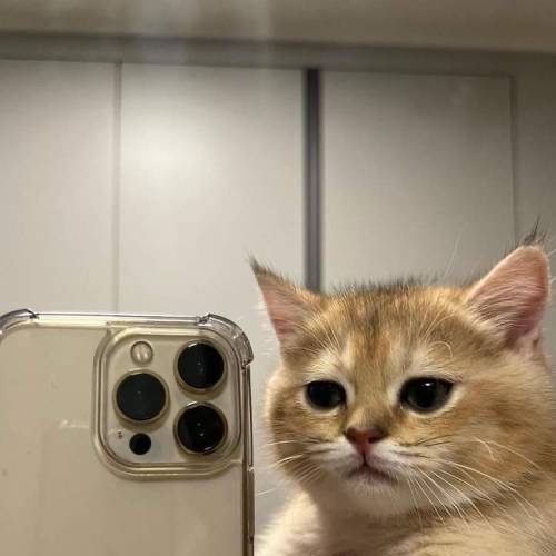 Warden_fps's tweet photo. #FeelingNew https://t.co/LbdbuKlPyT