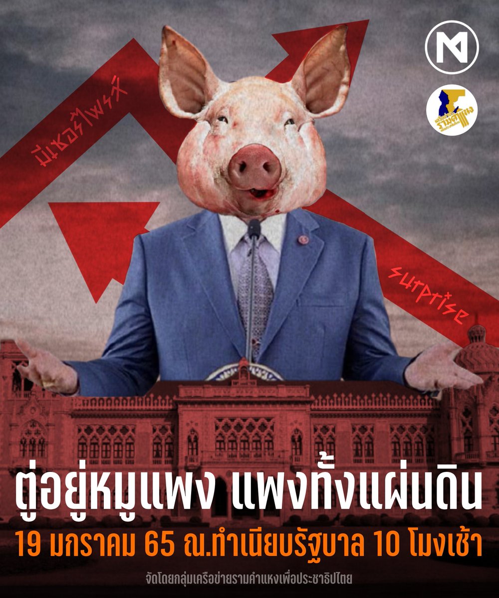 mobnews (main acc) tweet media