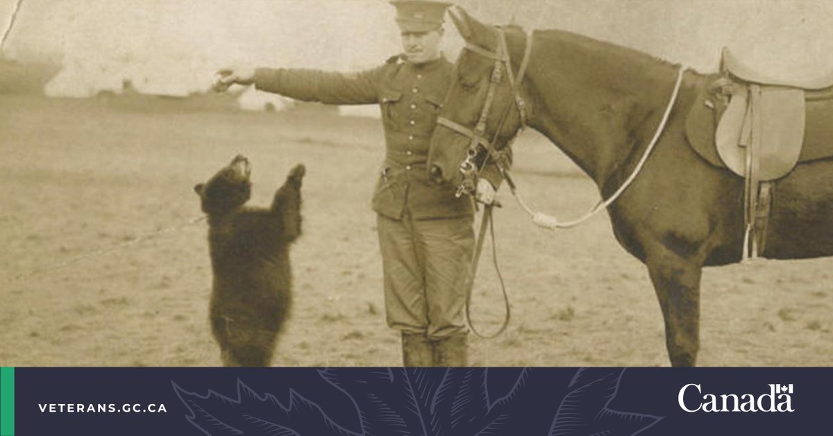 VeteransENG_CA's tweet image. #DYK that Winnie the Pooh began with a Canadian soldier and his pet bear?

Major Harry Colebourn adopted an orphaned bear cub while on his way to fight in the #FirstWorldWar. 

Happy #WinnieThePoohDay!

ow.ly/pWYX50H4ca8

#CanadaRemembers