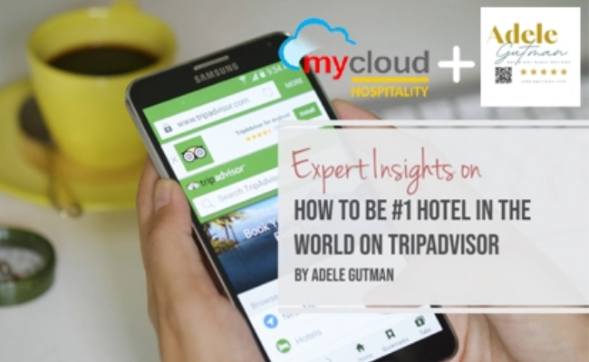 MycloudPMS's tweet photo. Here's a useful guide which can help you in providing a better #customerexperience and optimizing your #online #hotelreputation to reach #TripAdvisor’s #1 hotel in the world. Which we @MycloudPMS created in collaboration with Adele Gutman - https://t.co/BDs5qITjQ1 https://t.co/4Acfi2XLja