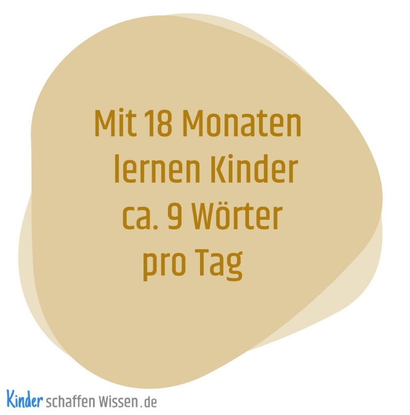 Mit dem ersten Geburtstag sprechen Kinder ihr erstes Wort. Daraufhin lernen sie im Durchschnitt etwa ein bis zwei neue Wörter pro Woche. Doch mit 18 Monaten beschleunigt sich das Lerntempo rapide und der Vokabelspurt setzt ein.