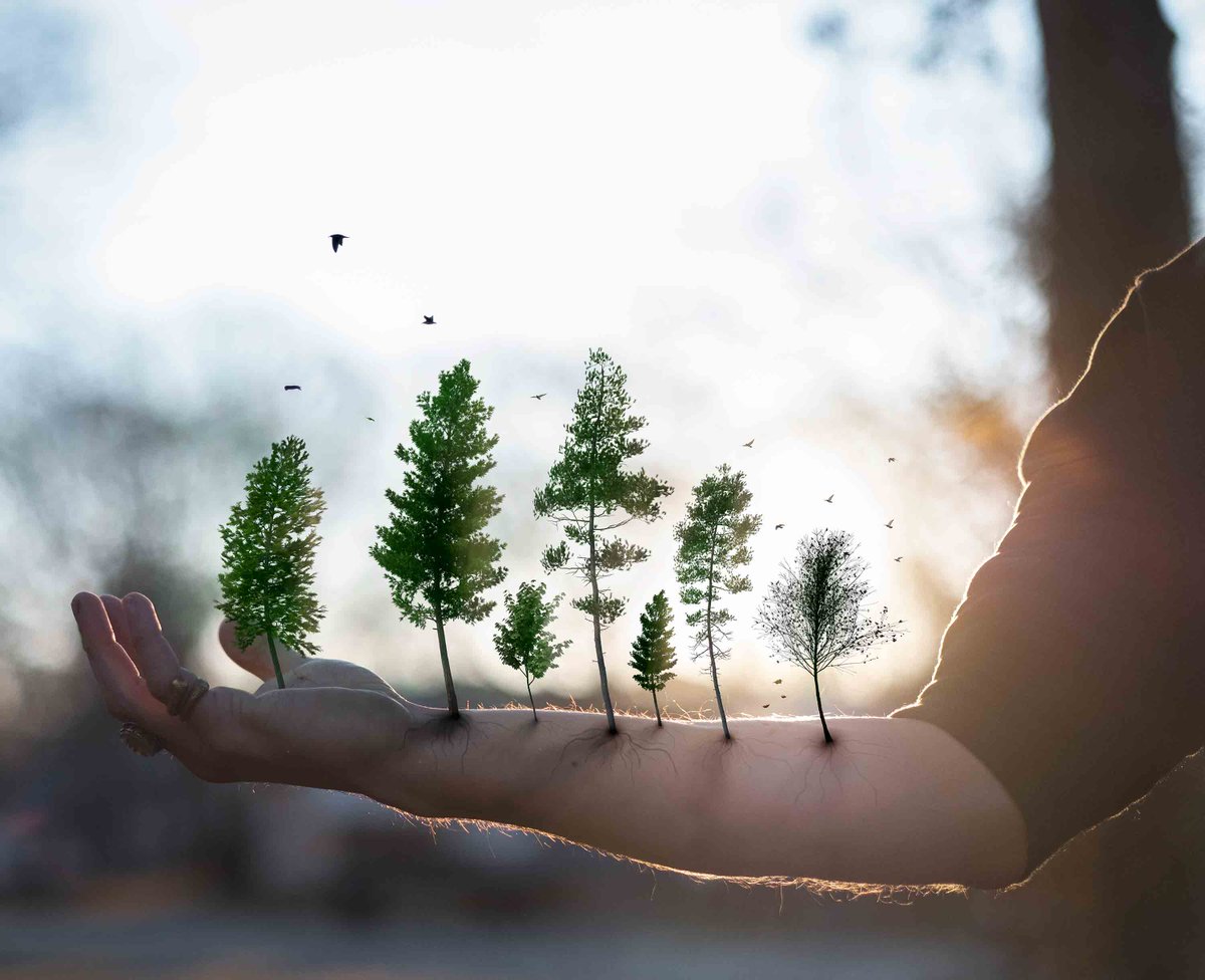 Paul 📸🌹 tweet media