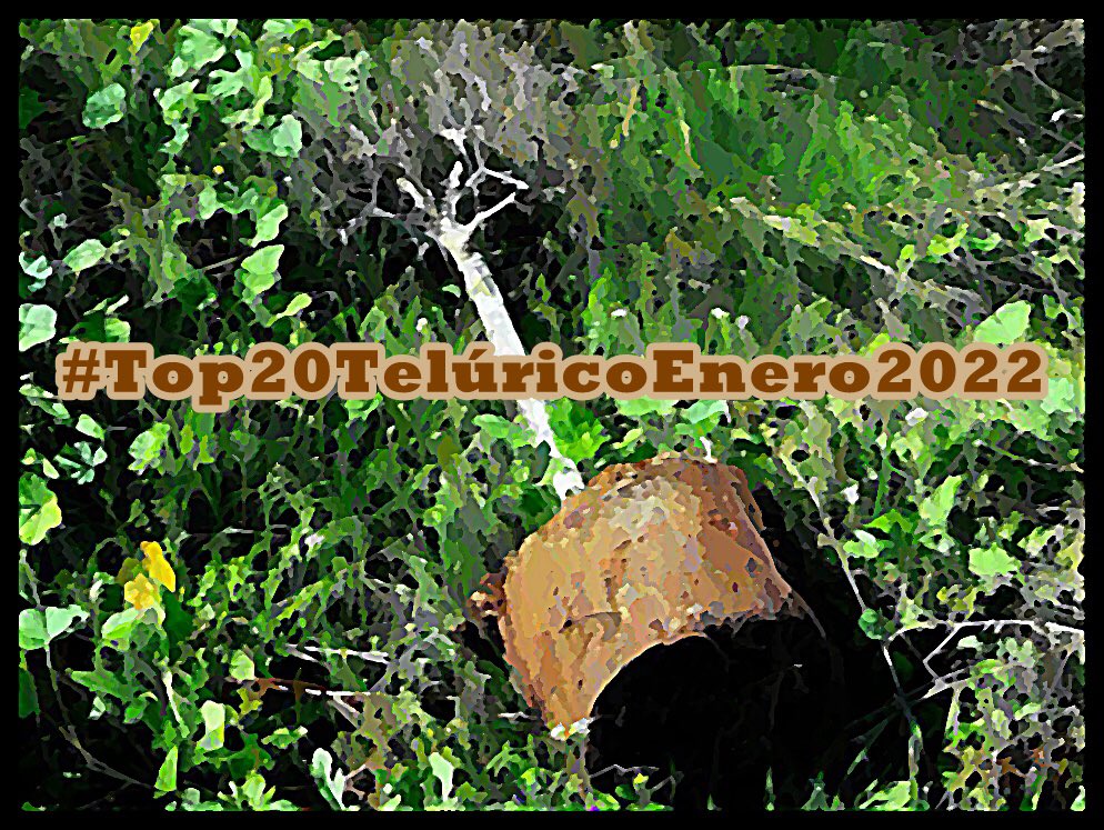 lavoztelurica (@lavoztelurica) on Twitter photo #Top20TelúricoEnero2022: (Del 10 al 1) <a href="/miragodot/">MIRA GODOT</a> (& <a href="/santicapote/">Santi Capote</a>), <a href="/hidrogenesse/">Hidrogenesse</a>, #RosaVenenosa, <a href="/feroe_music/">Feroe</a>, <a href="/GinebrasBanda/">GINEBRAS</a> (& @danic0stas), <a href="/iglumusica/">Iglú</a> (& <a href="/WGuineu/">GUINEU</a>), @AlgoraVictor, <a href="/fonroman/">Fon Román Oficial</a>, #Montesco, <a href="/MiquiPuig/">Miqui Puig</a> lavoztelurica.blogspot.com/2022/01/lista-… #Top20TelúricoEnero2022: (Del 10 al 1) <a href="/miragodot/">MIRA GODOT</a> (& <a href="/santicapote/">Santi Capote</a>), <a href="/hidrogenesse/">Hidrogenesse</a>, #RosaVenenosa, <a href="/feroe_music/">Feroe</a>, <a href="/GinebrasBanda/">GINEBRAS</a> (& @danic0stas), <a href="/iglumusica/">Iglú</a> (& <a href="/WGuineu/">GUINEU</a>), @AlgoraVictor, <a href="/fonroman/">Fon Román Oficial</a>, #Montesco, <a href="/MiquiPuig/">Miqui Puig</a> lavoztelurica.blogspot.com/2022/01/lista-…