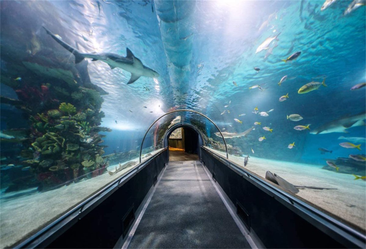 Rosie Blackadder tweet media