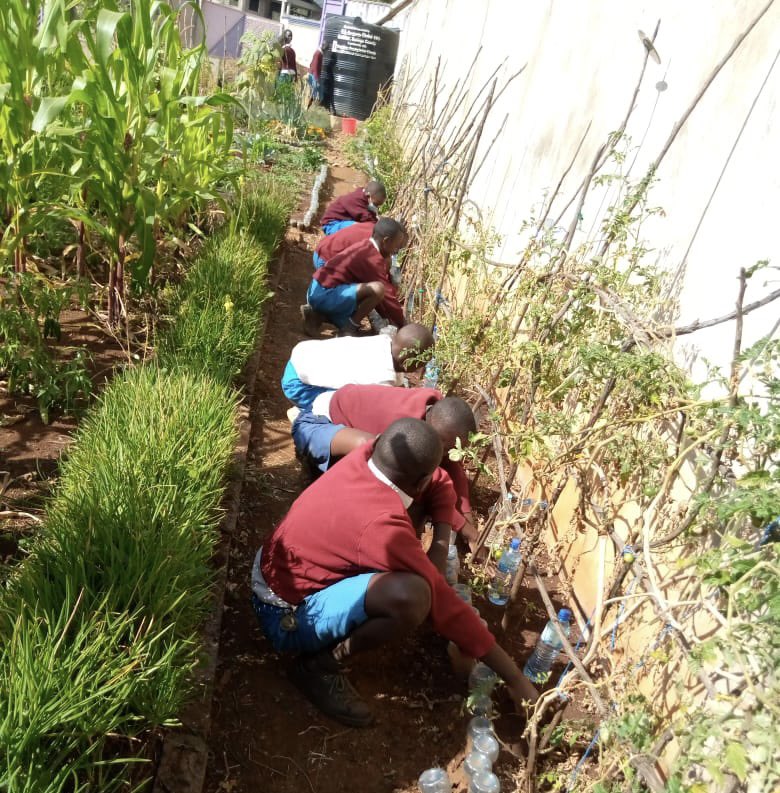 PolkadotLibrary tweet media