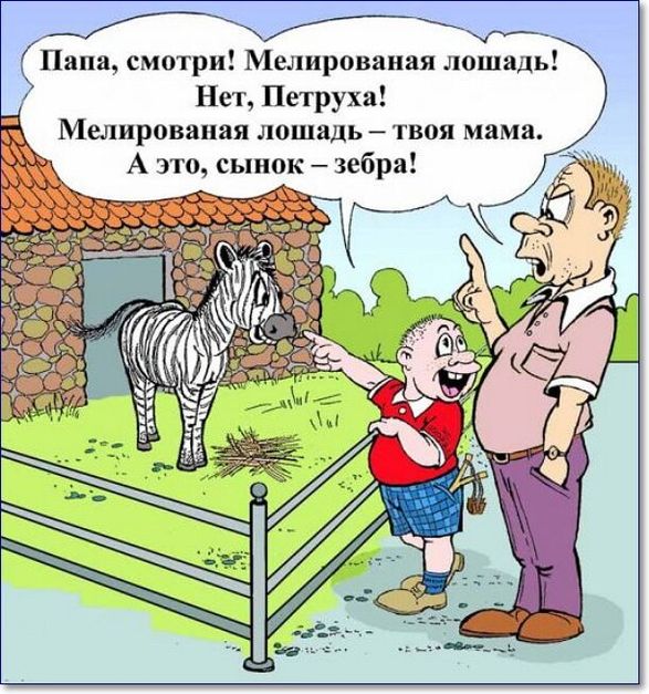 Владимир Фролов (@frolovmaster) on Twitter photo 