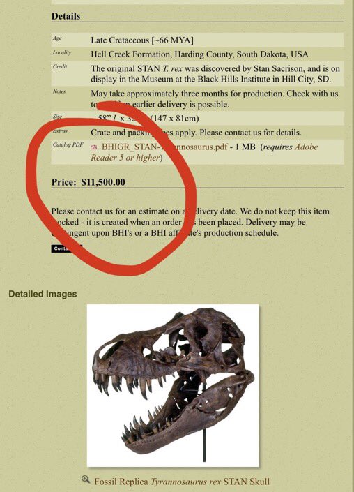 ratemyskyperoom's tweet photo. Tequila. T Rex. And @TheRock. The Room Rater Investigative Unit has looked into it and it’s a reproduction and thus does not violate our no taxidermy/animal remains policy. Pretty badass. Tweak lighting. 9/10 https://t.co/vtj7toF86f