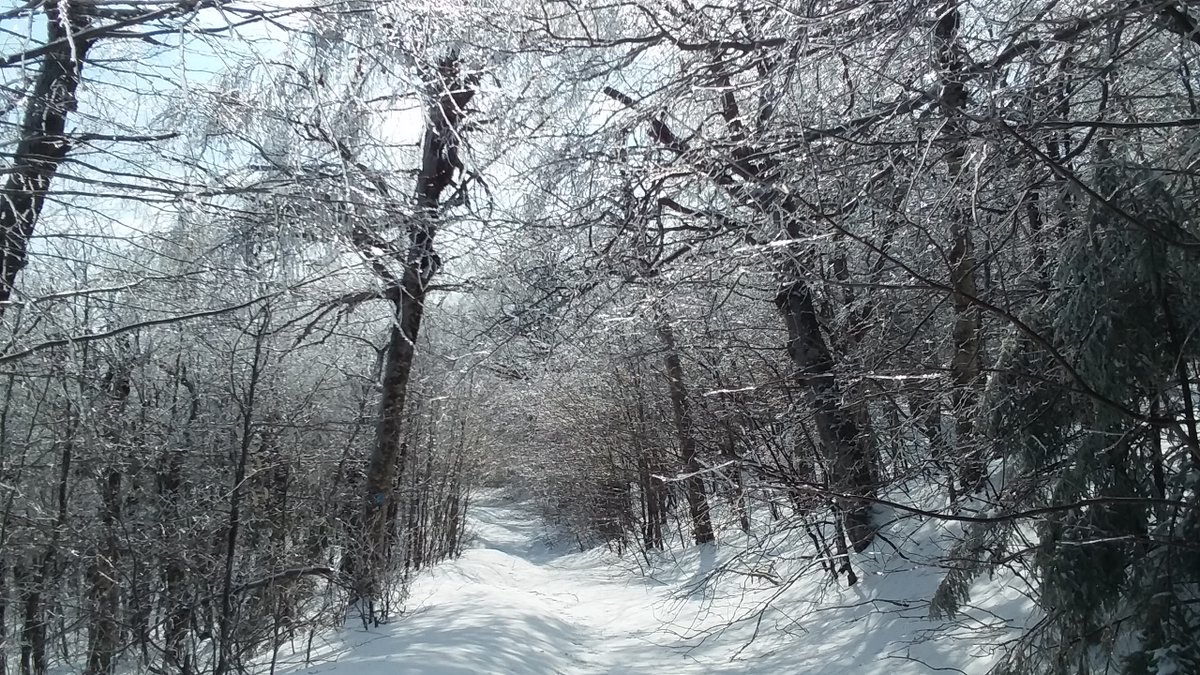 Castle in the Clouds tweet media