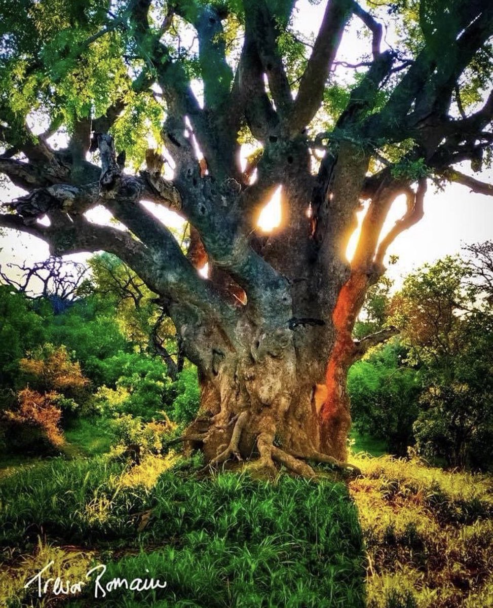 #MondayMotivation: How lucky am I?  I woke up this morning and I was alive! 

So if I whine about anything trivial, or allow myself to get sucked into unimportant, time-wasting drama and nonsense, I deserve a slap upside the head.