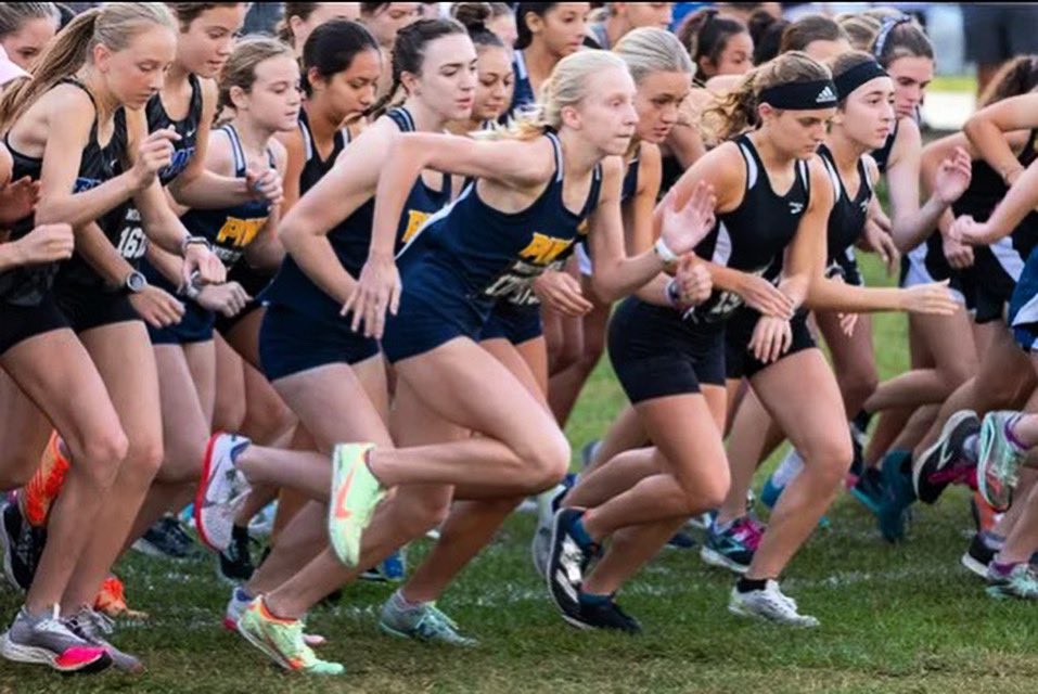 Cross Country being rewarded for their efforts with All-Area recognition from TCPalm. Congrats to Emerson, Fripp, &amp; Amelie for first team honors. Reyn for honorable mention honors. And Coach Fleming for Coach of the Year honors. Hard work pays off! #PineAthletics #PineSchool