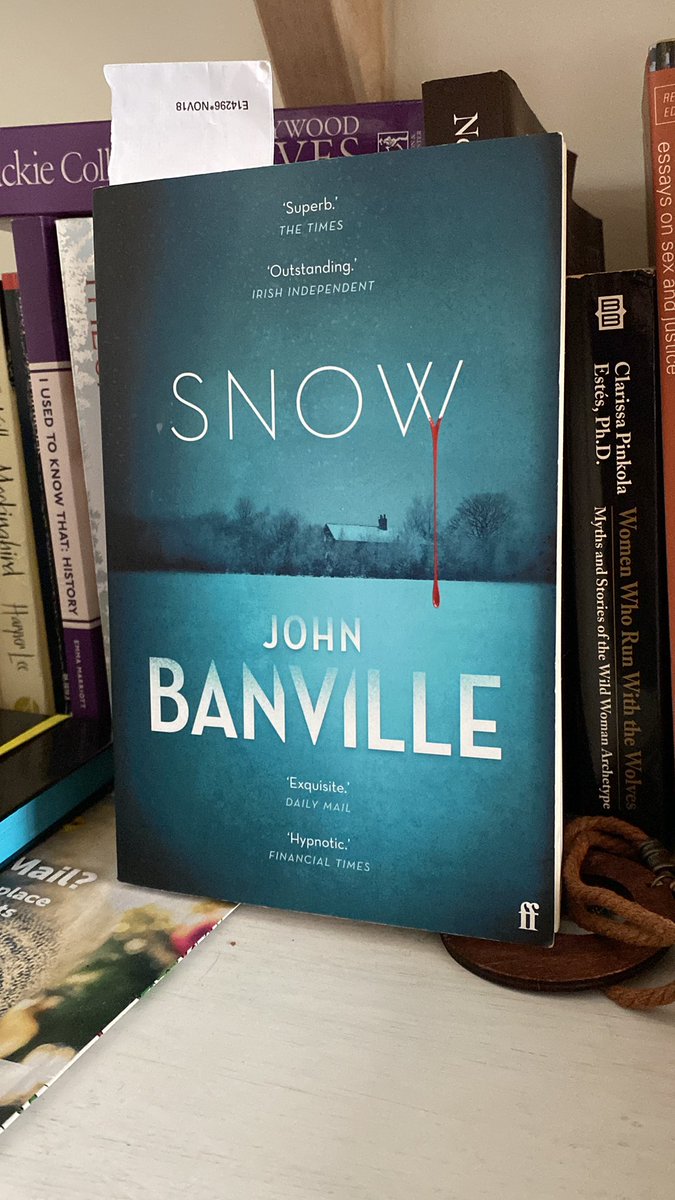 Big Comfy Bookshop tweet media