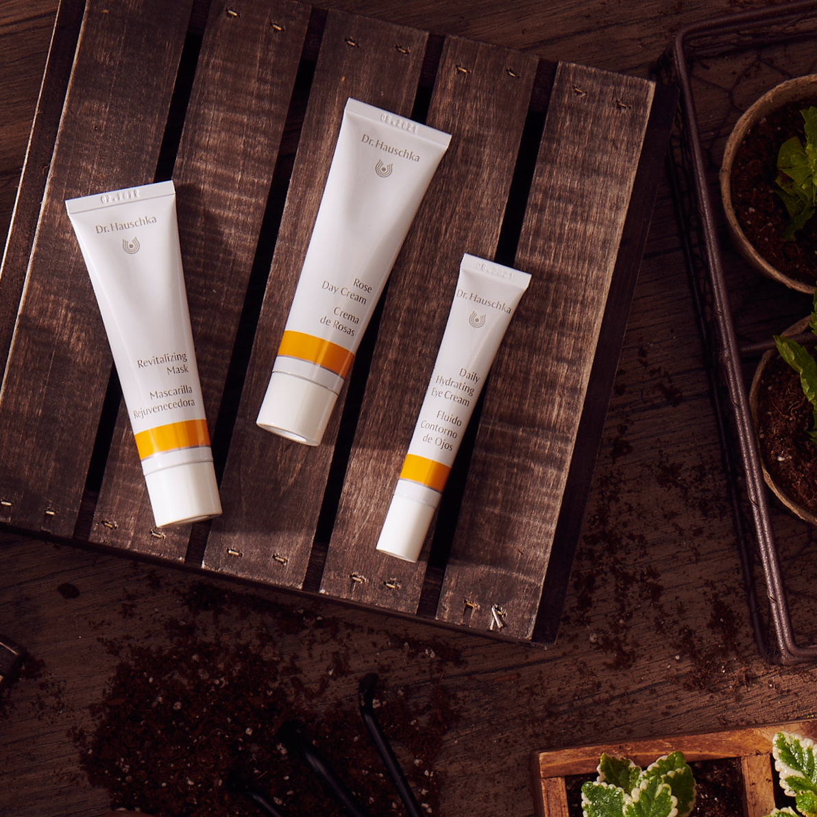 DrHauschka_USA's tweet photo. The soothing, refreshing, instantly noticeable effect of our Revitalizing Mask provides an even-looking complexion and leaves your face feeling toned and refined. #TuesdayTip: Create a full ritual with Rose Day and Hydrating Eye Cream.

#tiptuesday #drhauschka #revitalizingmask https://t.co/Sc2eN6uwKW