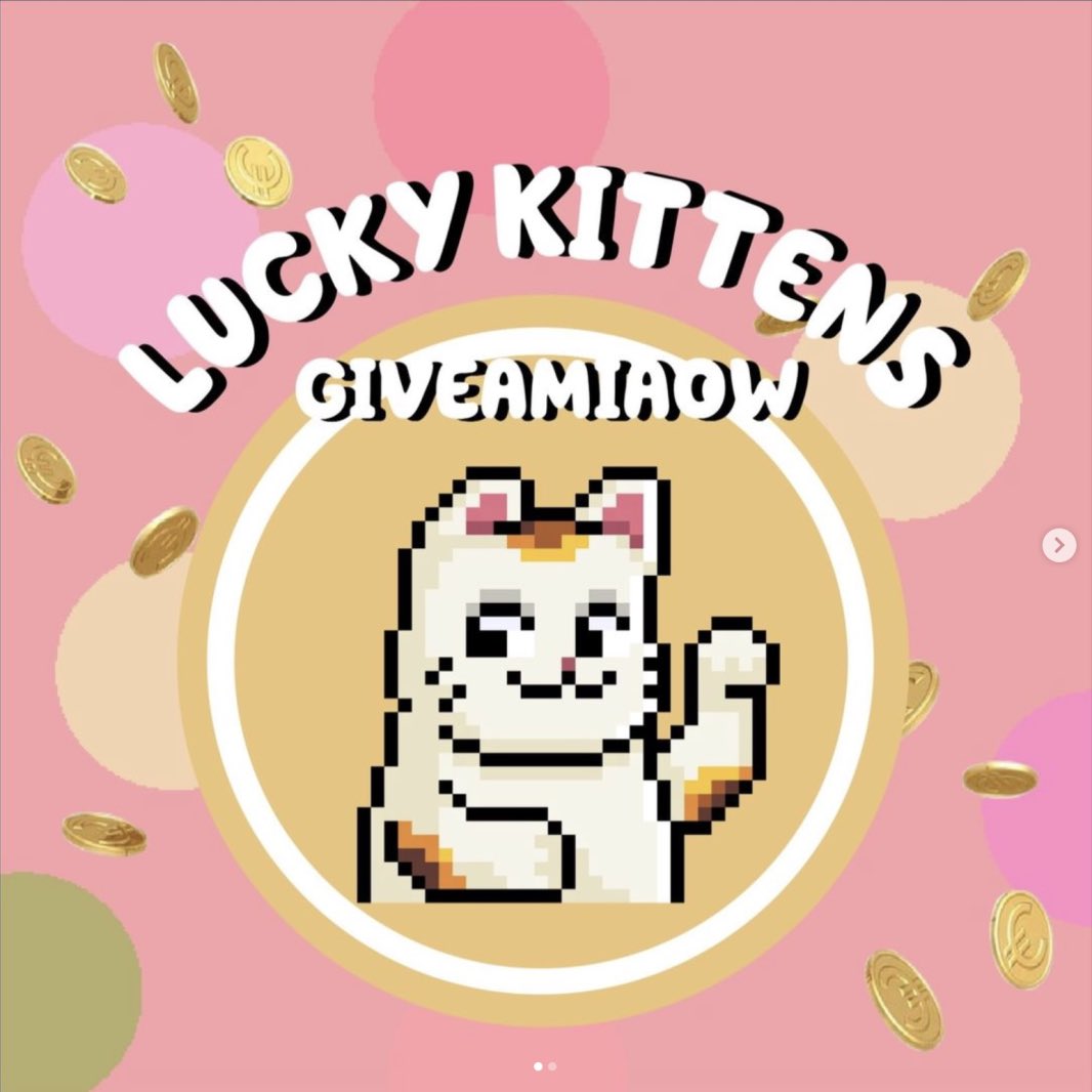 luckykittensnft's tweet photo. Have you asked your friends yet to join our 18,888 giveaway, Miaow Gang?!!📢

It's not too late for them to win our massive milestone raffle!! If we get at least 5,888 likes on our IG post, we'll be giving away the biggest SOL amount for prizes!🔥

Keep sharing, Kittens!! https://t.co/Mxj3Ejx15P