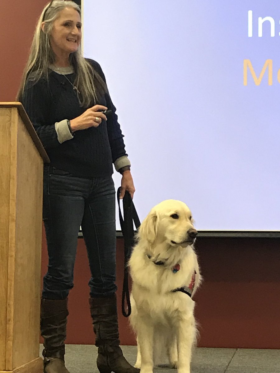 sampson_dog's tweet photo. I’m a Service Dog! I go on stage when Mom gives talks/presentations. She might need me. Even tho I might lay down and close my eyes to rest, I am still connected to Mom and alert. If she needs me I know instantly. This allows her the independence to help others and have a career! https://t.co/CGy6WI57vP