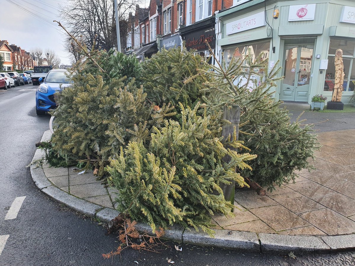 AspireFurze's tweet photo. @wandbc are you planning to collect these Christmas trees, which have been littering our neighbourhood since the new year? Both the promised collection days have been missed. Not a great look.....
#Furzedown #treegraveyard #wandsworth https://t.co/lqS3a5ysBF