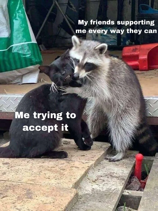 WholesomeMemes tweet media