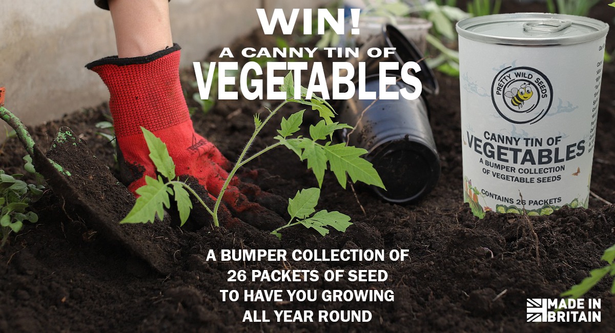 Who fancies some free veg seeds to get the year growing? Pop on to our Facebook to enter!

facebook.com/prettywildseed…

#competiton #vegseeds #allotment #gardening #Giveaway