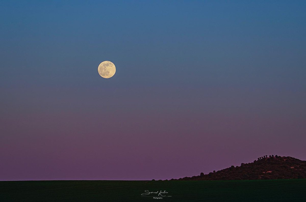 samuel_re's tweet photo. 🐺 🌝 

Wolf moon 📸

Luna lllena 17/01/2022

Luna de lobo.

📍 Motilla del Palancar (Cuenca)

#Motilladelpalancar #moon @elcampoCMM @ElTiempo_tve @ElTiempoA3 @aquilatierratve @ElTiempoCMM https://t.co/dt4oDlaXIz