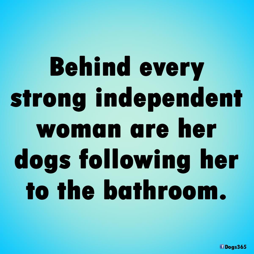 Susan Bennett (@siriouslysusan) on Twitter photo 