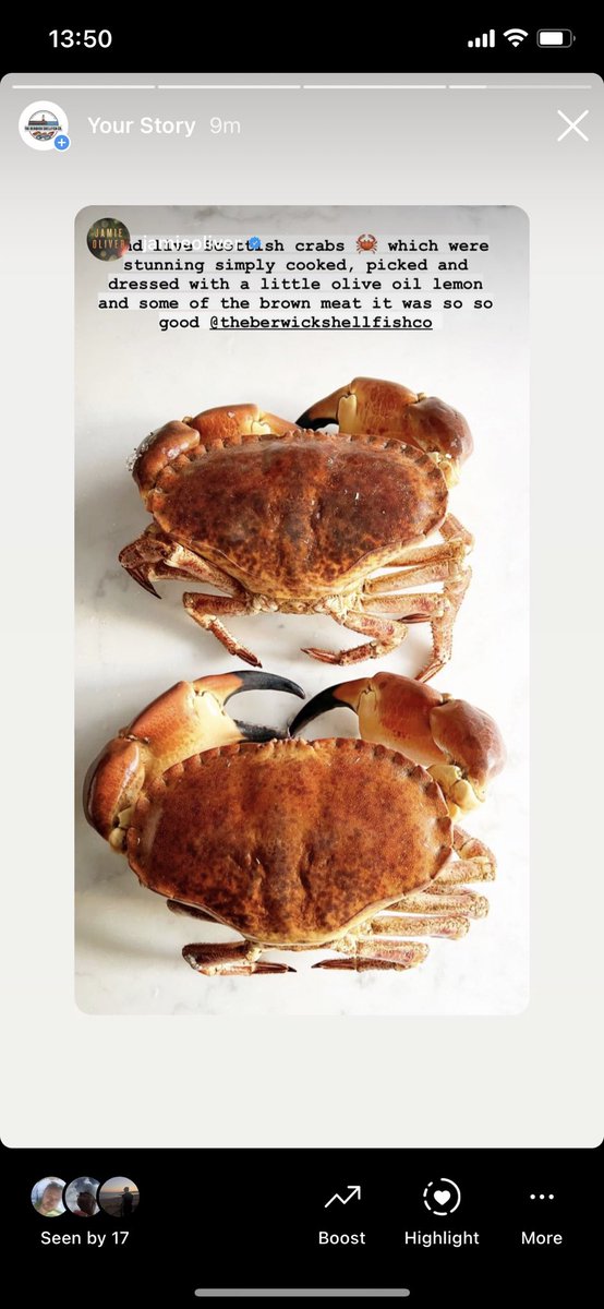 Uber Fresh Shellfish for <a href="/jamieoliver/">Jamie Oliver</a> shipped overnight #crab #langoustines