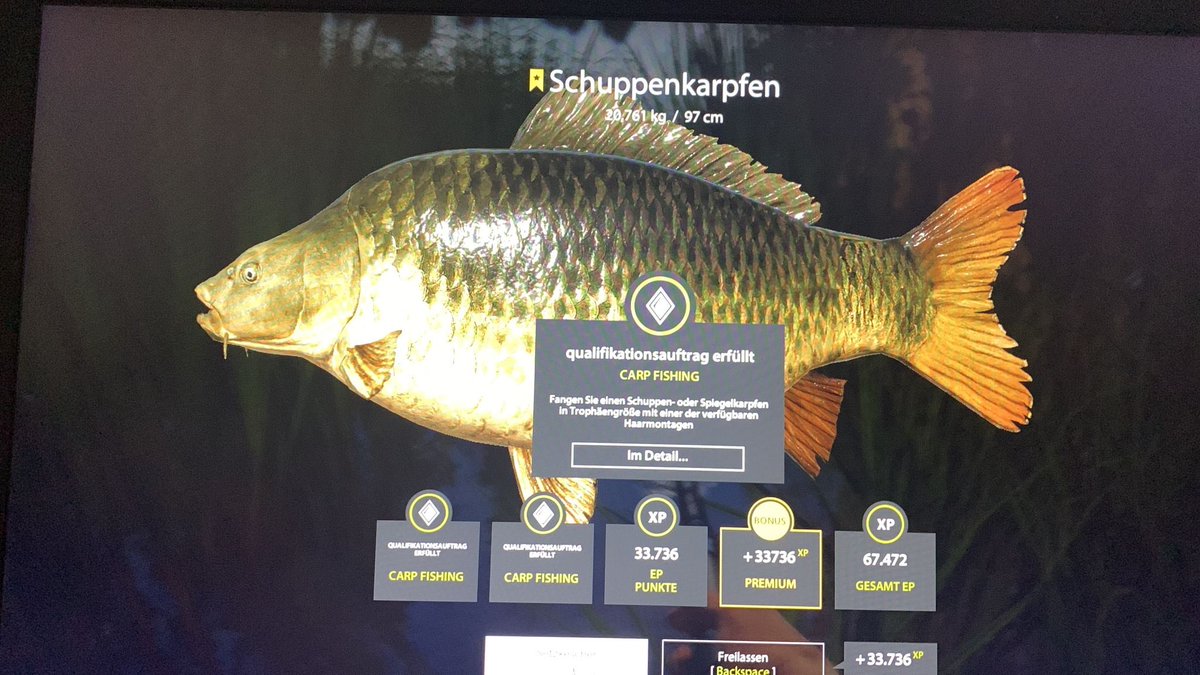 beelzebub_hh's tweet photo. Sehr gut. Meine erste Karpfen-Trophäe. Es war ein richtig schöner Drill. #twitchde #russianfishing4 #rf4 #rf4de https://t.co/KcXWf4FpAV