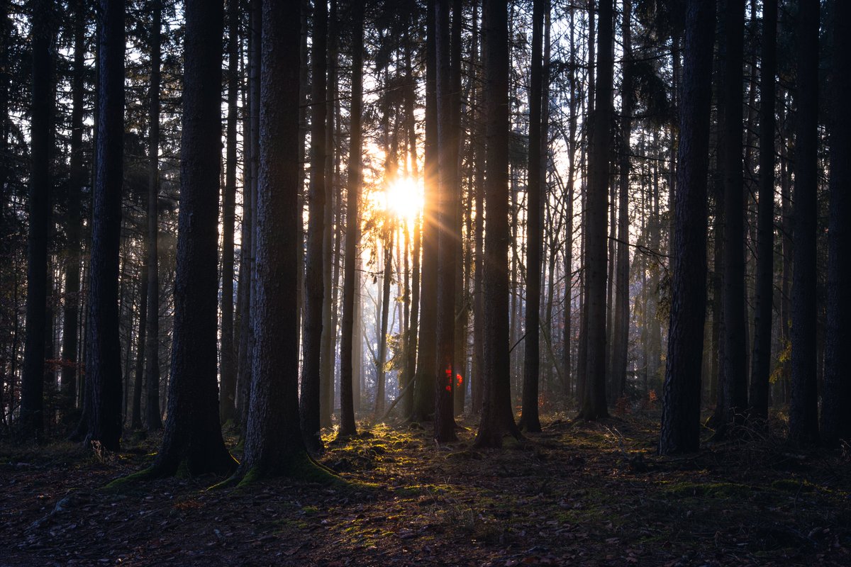 So <a href="/Greenfist3000/">Greenfist</a> tagged me for the artwork posting, so here is some combination of my #arma3 and IRL and with that id like to tag 4 more people. <a href="/LOADING1012/">LOADING...</a> <a href="/baxticus/">Baxticus Meridius</a> <a href="/Whiplash_Ltd/">Whiplash 🇵🇹</a> (Lil P) <a href="/JohnPAB97/">JohnPAB97 🇵🇹</a>.