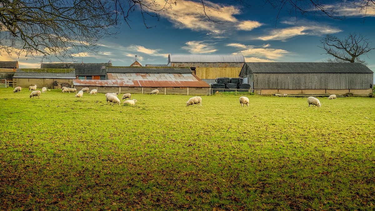 GeaAgronet's tweet photo. 🐖🐄🐑Raspisan drugi javni poziv svetske banke za stočare🐖🐄🐑
Predmet poziva su investicije u oblastima proizvodnje mleka, mesa, pčelarstva i akvakulture.
Tekst poziva sa specifikacijom prihvatljivih troškova možete preuzeti ⬇
https://t.co/fMluhd7GCN https://t.co/wbdca6PoXm