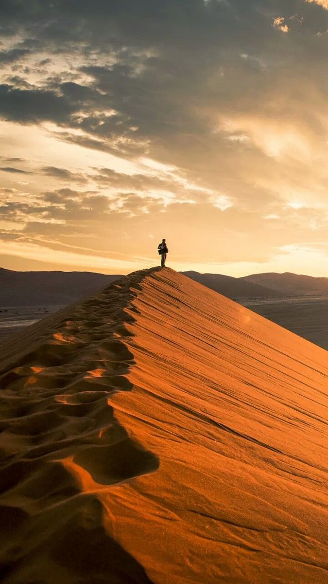 "La felicidad es la mayor de las conquistas, la hacemos  contra el destino que se nos impone."
       ~ Albert Camus ~

Muy #BuenosDias Amigos, hagamos de hoy una conquista #FelizMartesATodos !!
