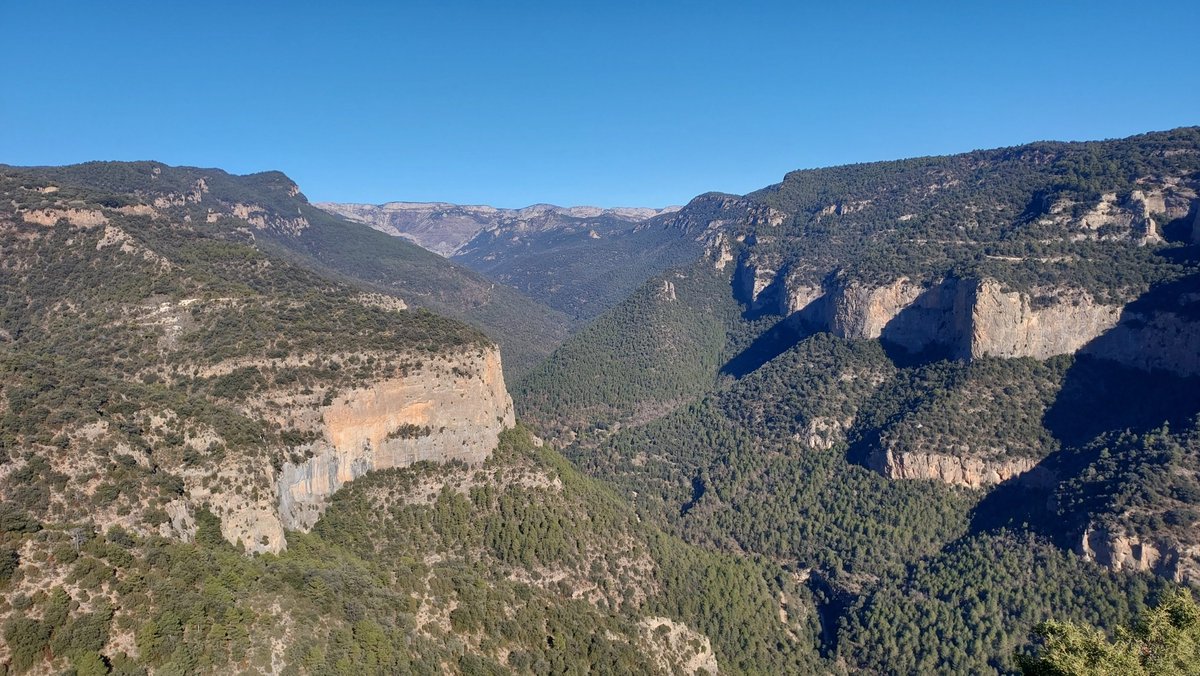 parramon's tweet photo. Una talaia defensiva natural impressionant, el #CastelldeTarabau al nord del terme de #BaroniadeRialb #aralleida esmentat ja l'any 892 se situa com un dels castells més antics al Prepirineu. https://t.co/oZ4SwhX2QI #tarabau @BaroniaRialb @aralleida https://t.co/XbZppf92tA