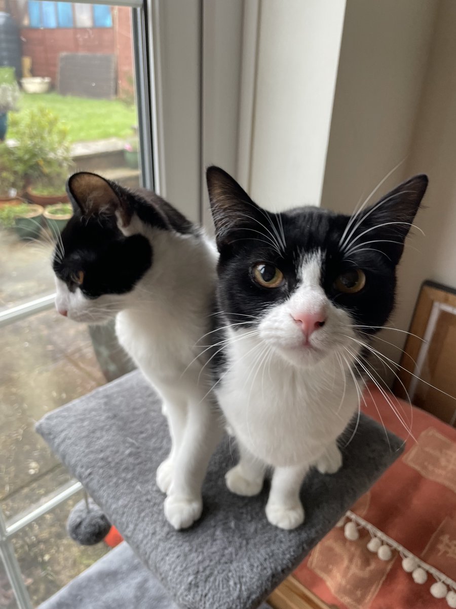 Susan Brunskill tweet media