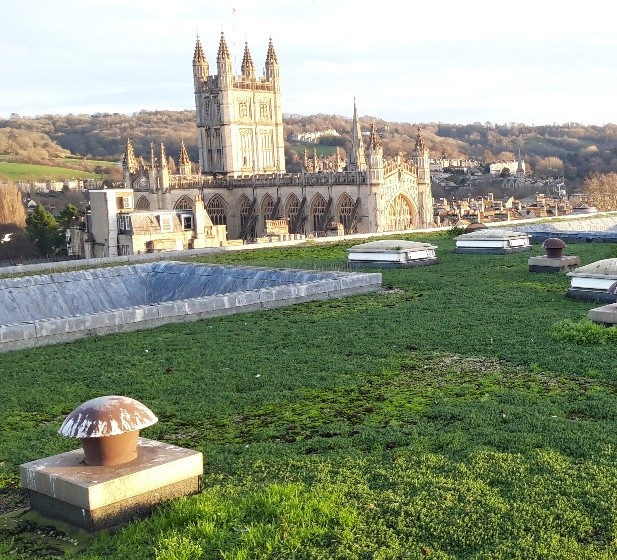 CW Duke Ltd tweet media