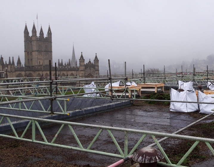 CW Duke Ltd tweet media